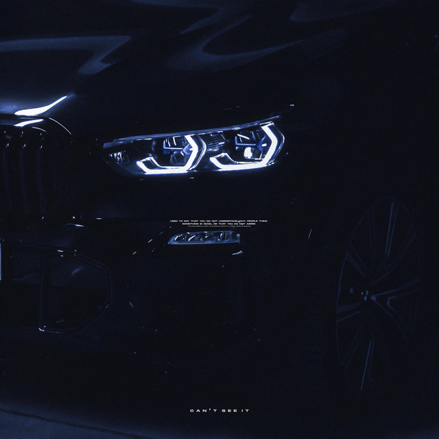 can't see it cover art