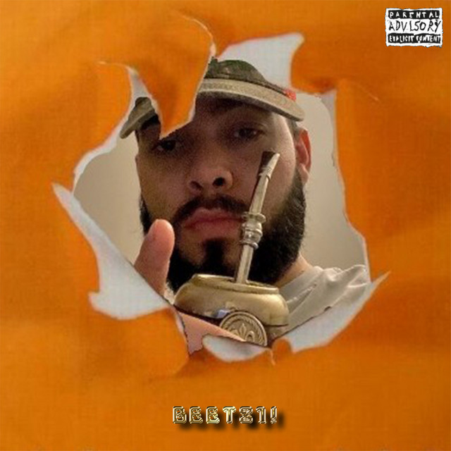 BEETS1! cover art