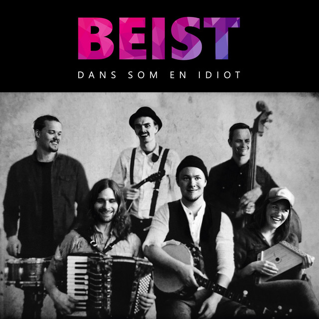 Dans som en idiot cover art