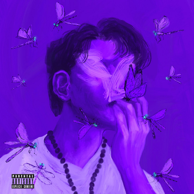 Las Libélulas cover art