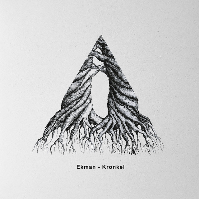 Verdraaide Logica album art