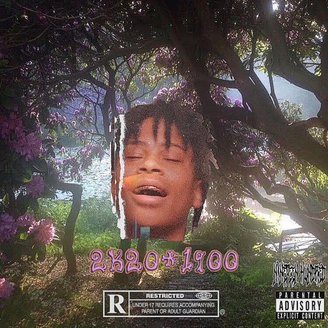 2k20*1900 cover art