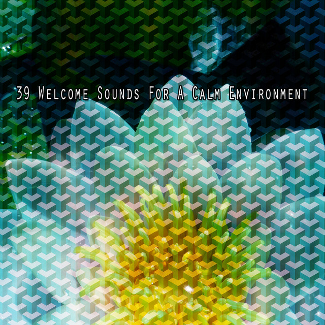 39 Welcome Sounds For A Calm Environment - Album by Asian Zen ...