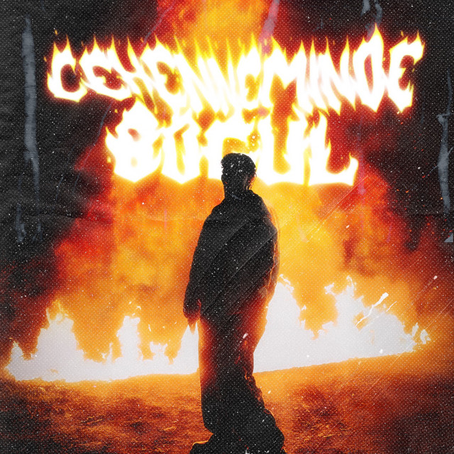 CEHENNEMİNDE BOĞUL cover art