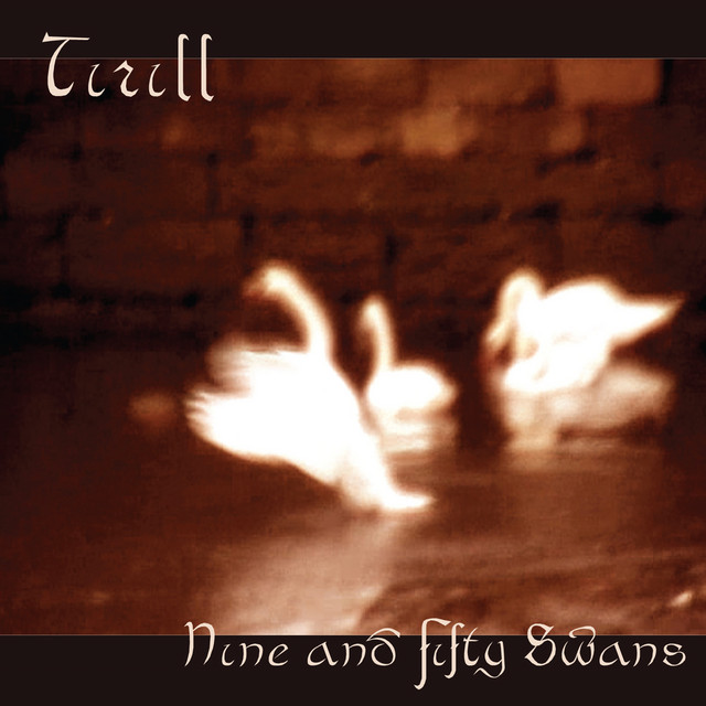 Nine and Fifty Swans cover art