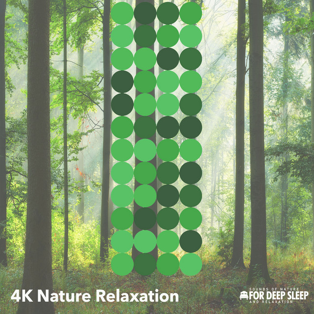 4K Nature Relaxation - Album by Sounds of Nature for Deep Sleep and ...