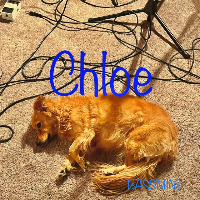Basement cover art