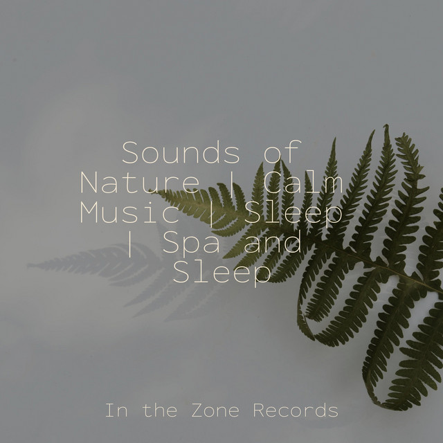 Sounds of Nature | Calm Music | Sleep | Spa and Sleep - Album by ...