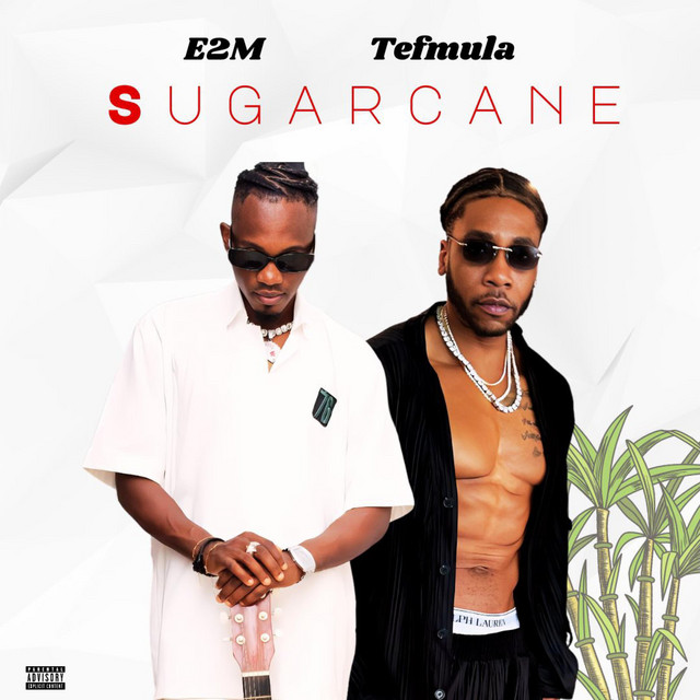 SUGARCANE