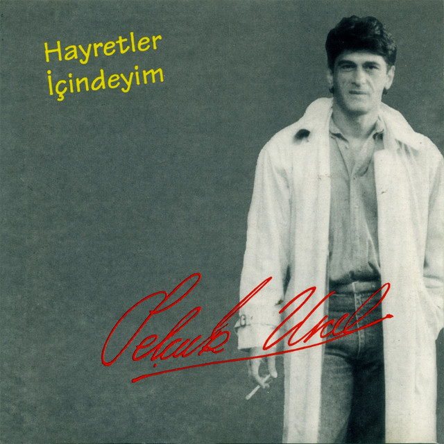 Hayretler İçindeyim cover art