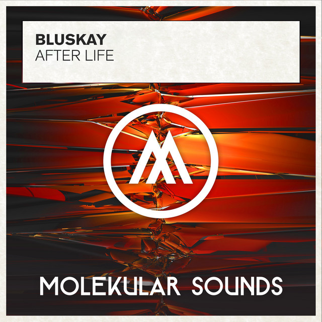 After Life cover