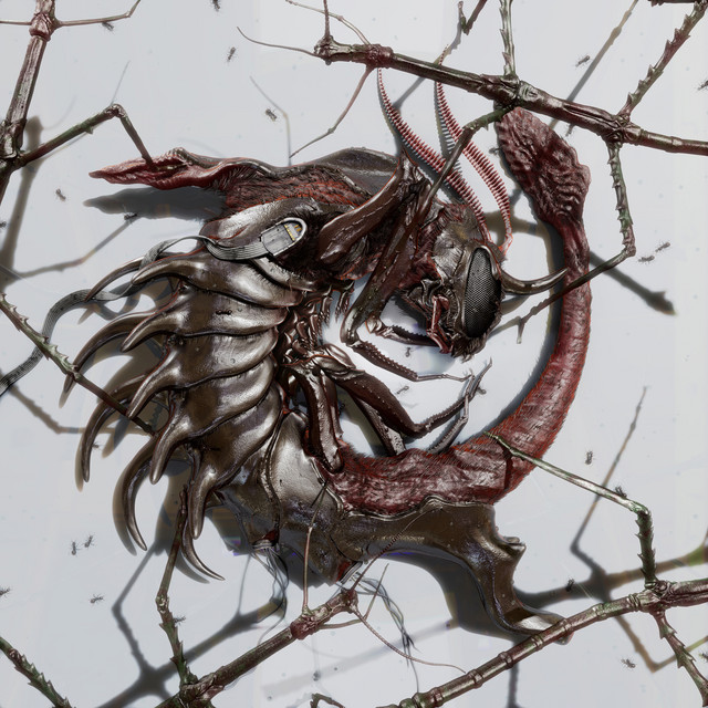Immolated cover art