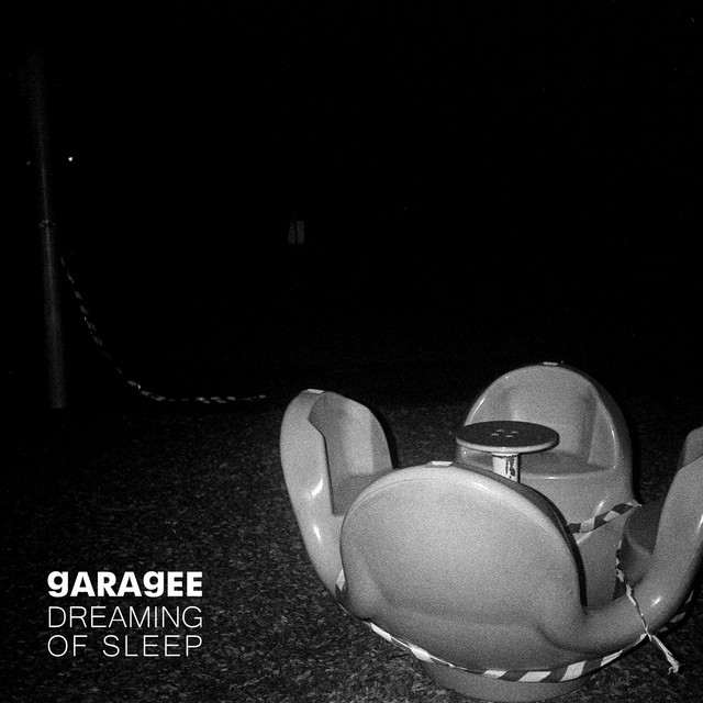 Dreaming Of Sleep cover art