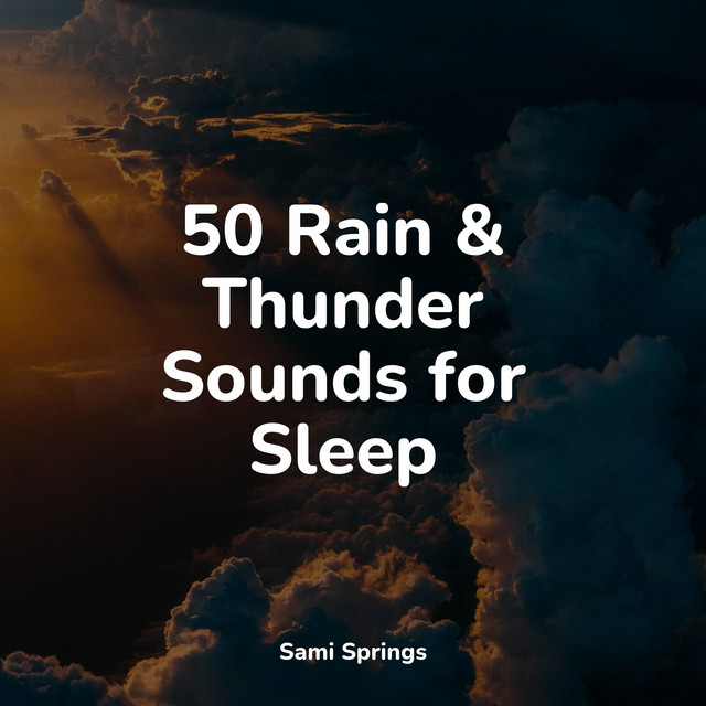 Beautiful Rain Sounds for Sleep - Album by Academia de Música para ...