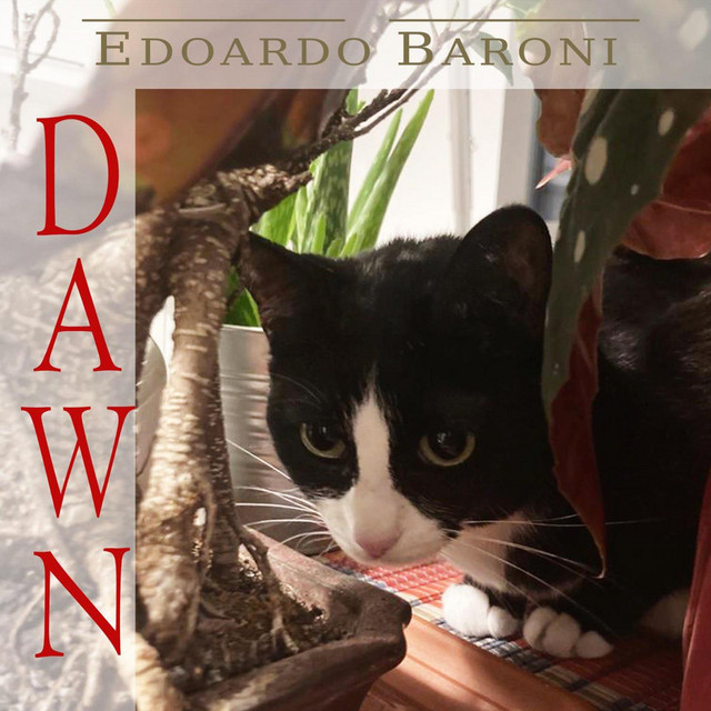 Dawn cover art