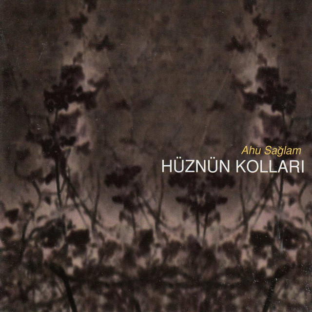 Hüznün Kolları cover art