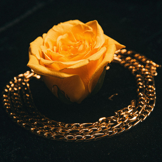 The Golden Rose cover art
