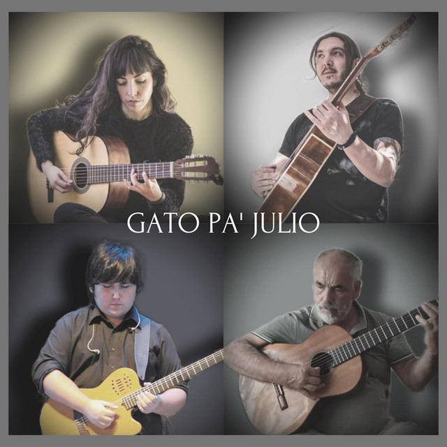 Gato pa' Julio album image
