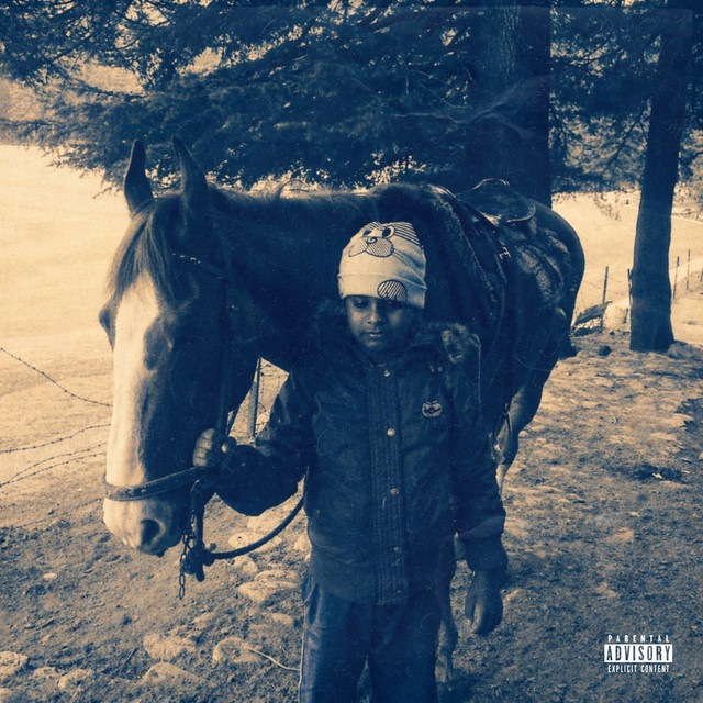 DEBARYA cover art