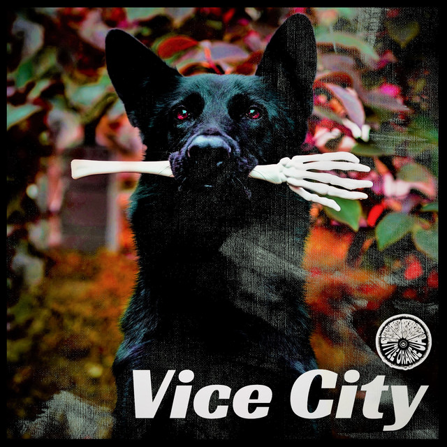 Cover art for Little Orange Ua — Vice City