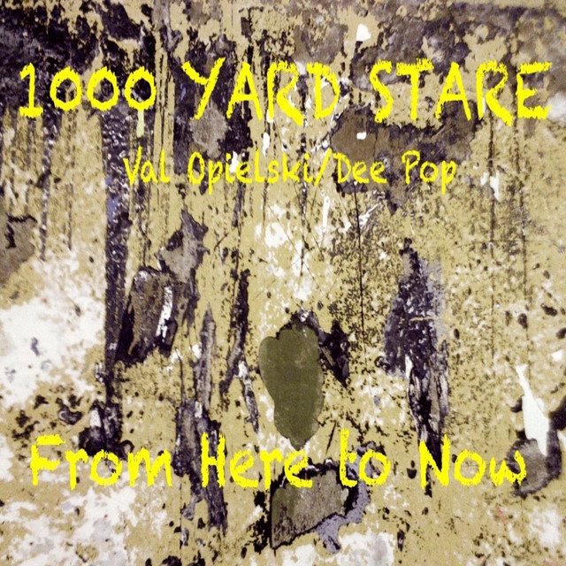 1000 Yard Stare photo