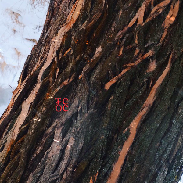 Тебе cover art