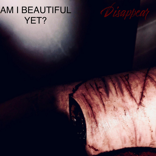 Am I Beautiful Yet? cover art