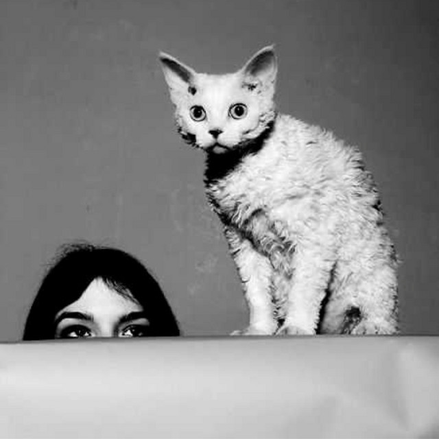 undefined album image