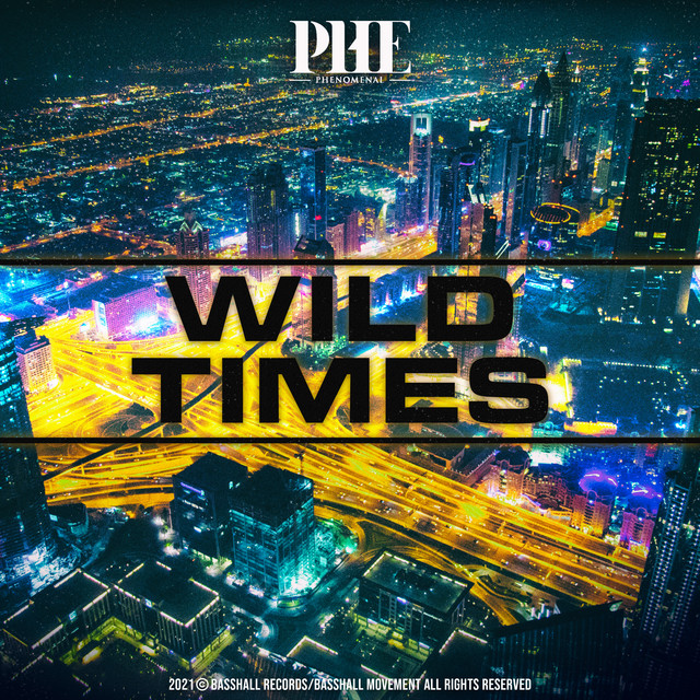Wild Times cover art