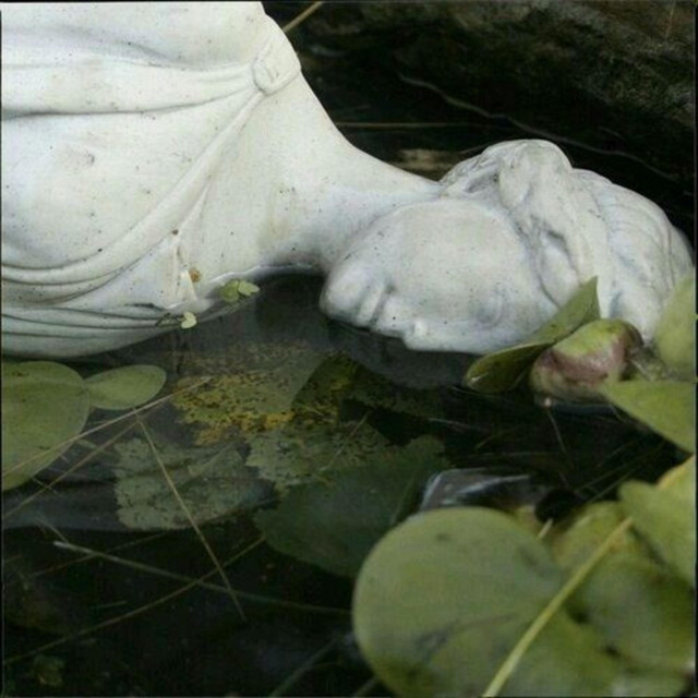 vindictive cover art