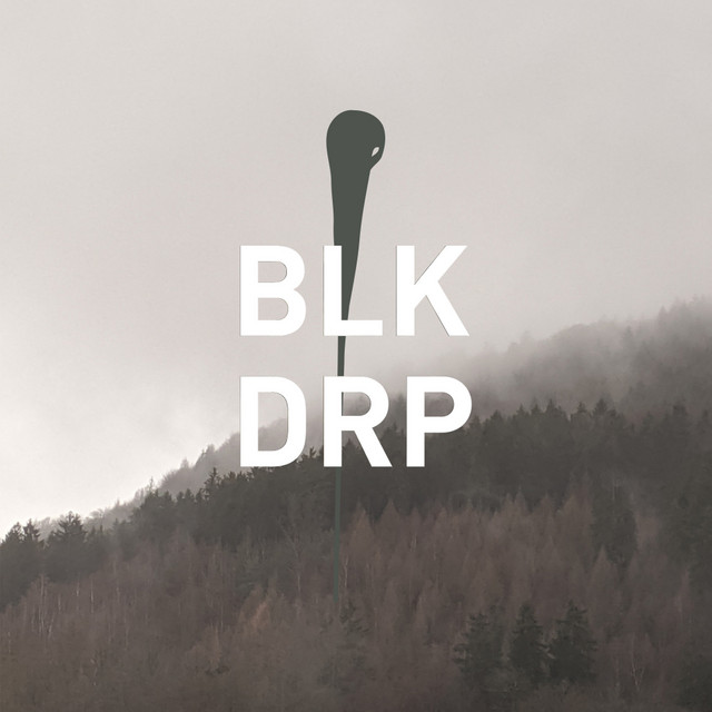 SNRS album art