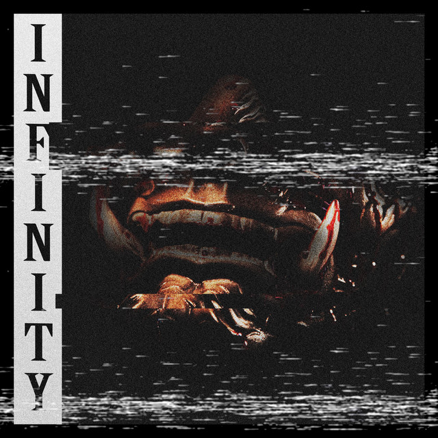 Infinity cover art