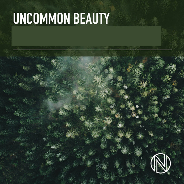 Uncommon Beauty cover art