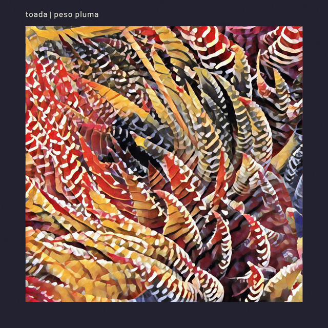 Album cover for Peso Pluma by Toada