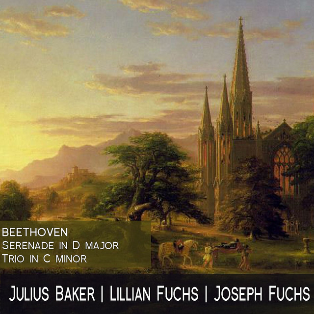 Serenade in D Major for Flute, Violin and Viola, Op. 25: II. Tempo ordinario cover art