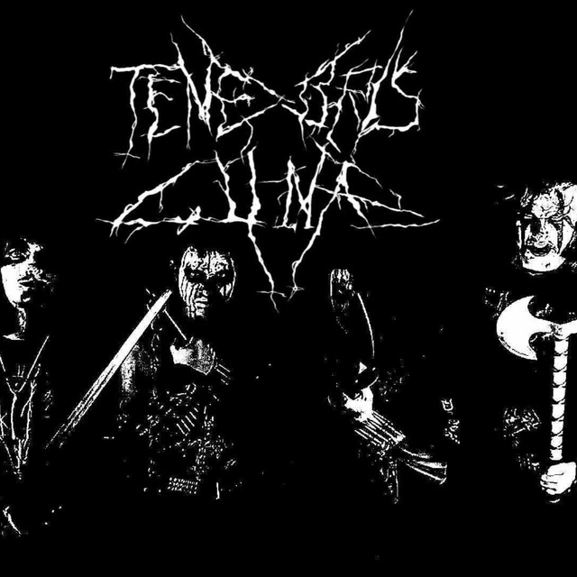 Moriantur In Tenebris Luna (demo) cover art