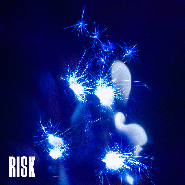 Risk cover art