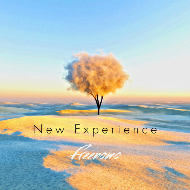 New Experience