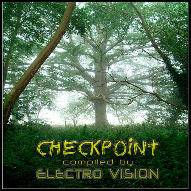 CheckPoint compiled by Electro Vision cover art