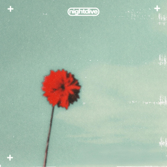 Diviner cover art