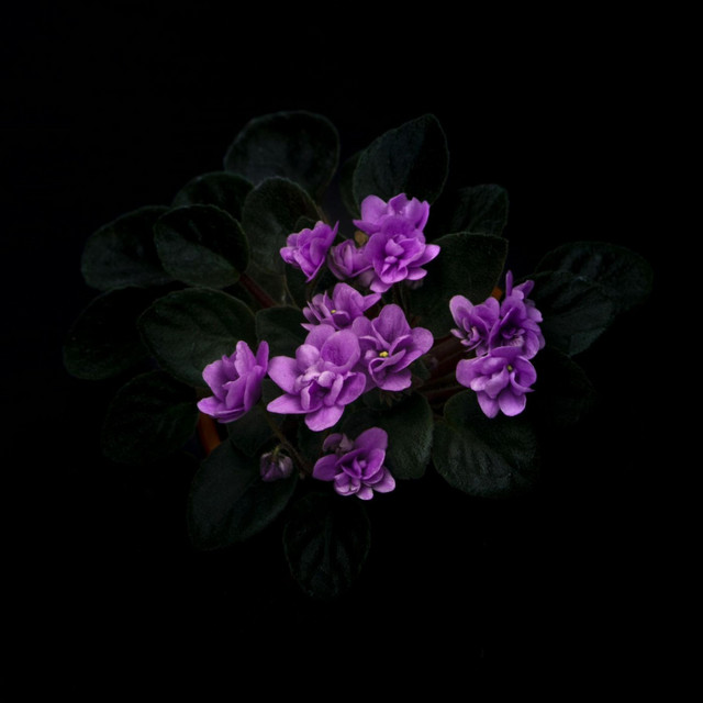 This Is Your Sign to Chill, Too. cover art