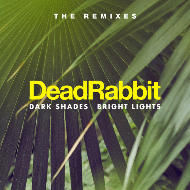 Dark Shades / Bright Lights - The Remixes cover art