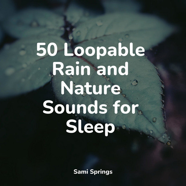 50 Loopable Rain and Nature Sounds for Sleep - Album by Ambient Arena ...