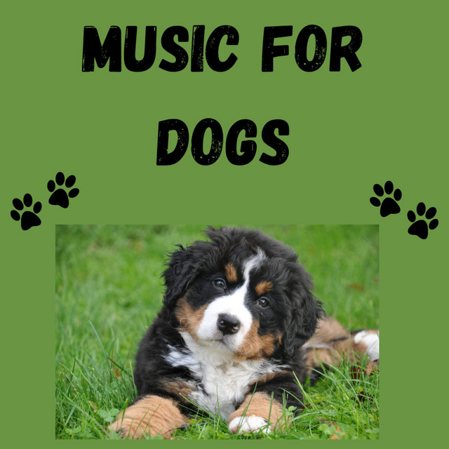 Music For Dogs (Vol.192) cover art