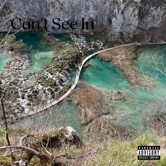 Can't See In cover art