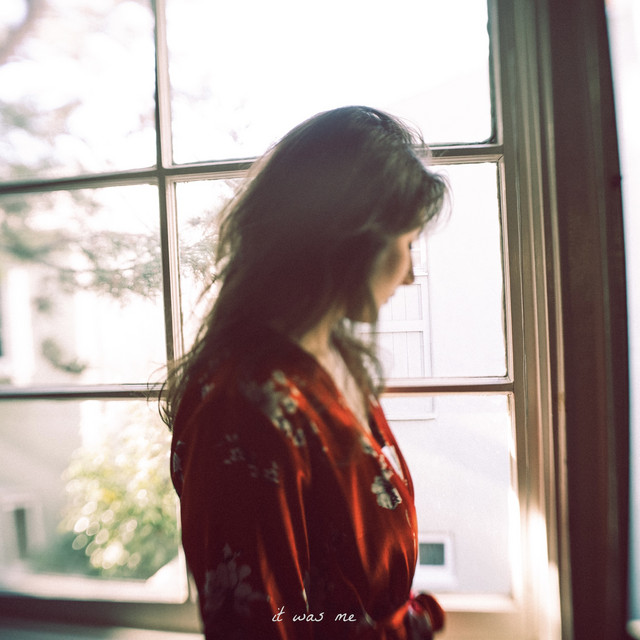 it was me cover art