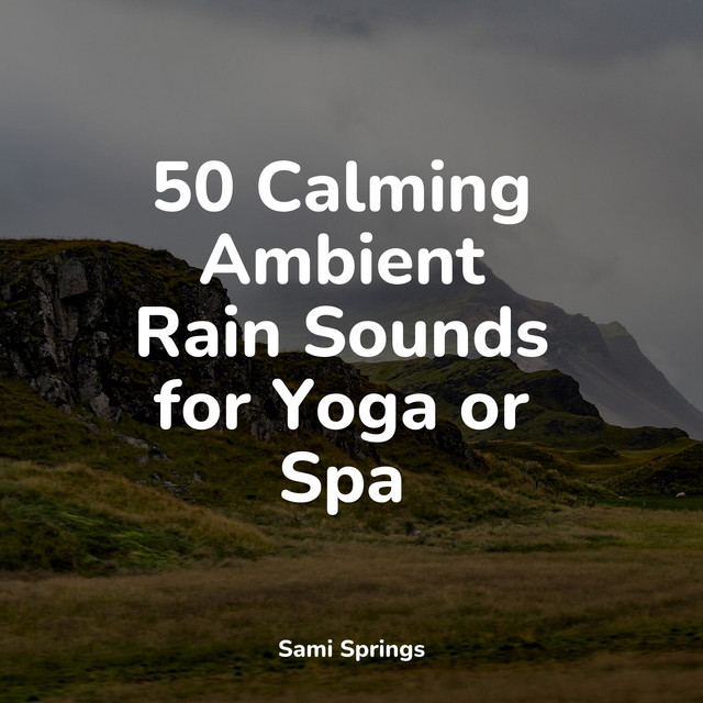 50 Calming Ambient Rain Sounds for Yoga or Spa - Album by Lluvia | Spotify