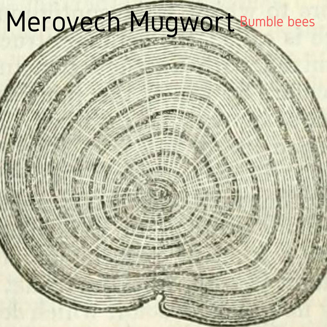 Mugwort Photo