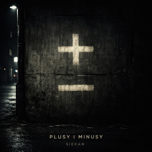 Plusy i Minusy album image