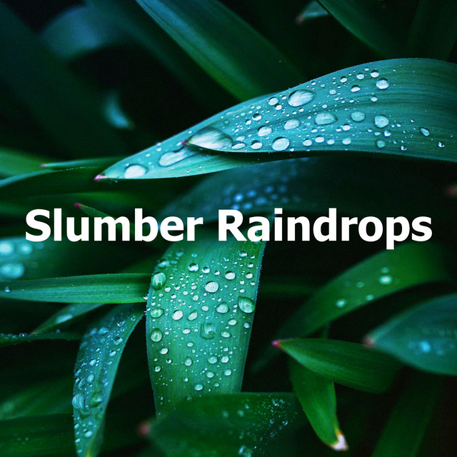 Slumber Raindrops - Album by Natural Rain Sounds for Sleeping | Spotify